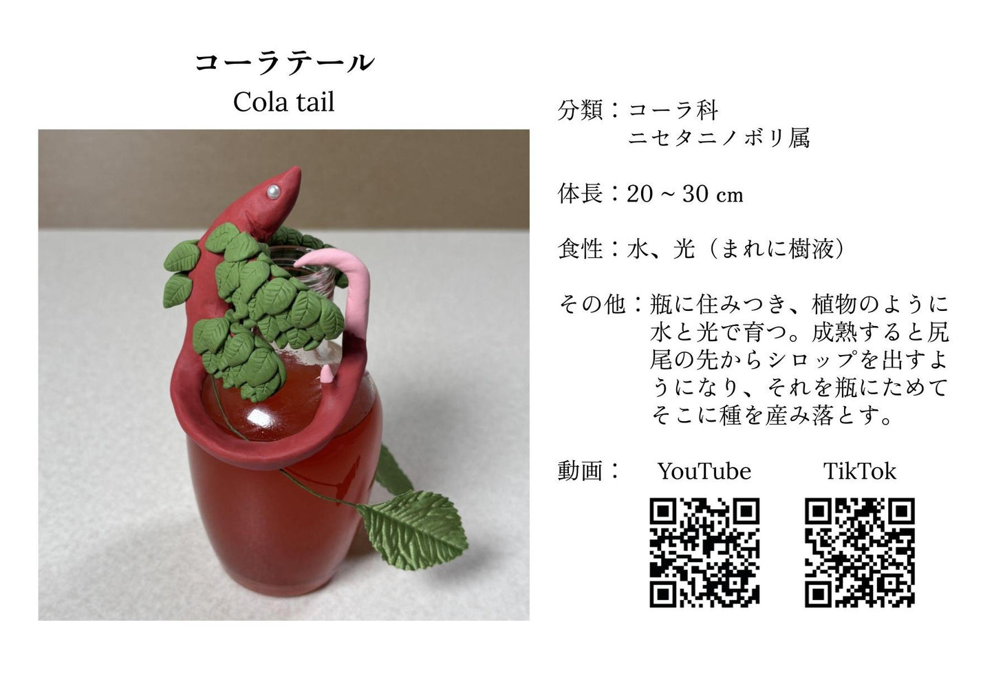 コーラテールの実