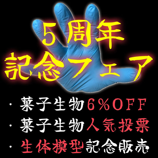 ５周年記念フェア