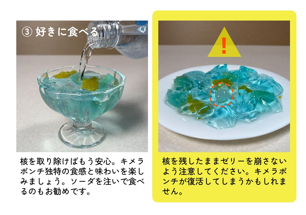 キメラポンチのゼリー