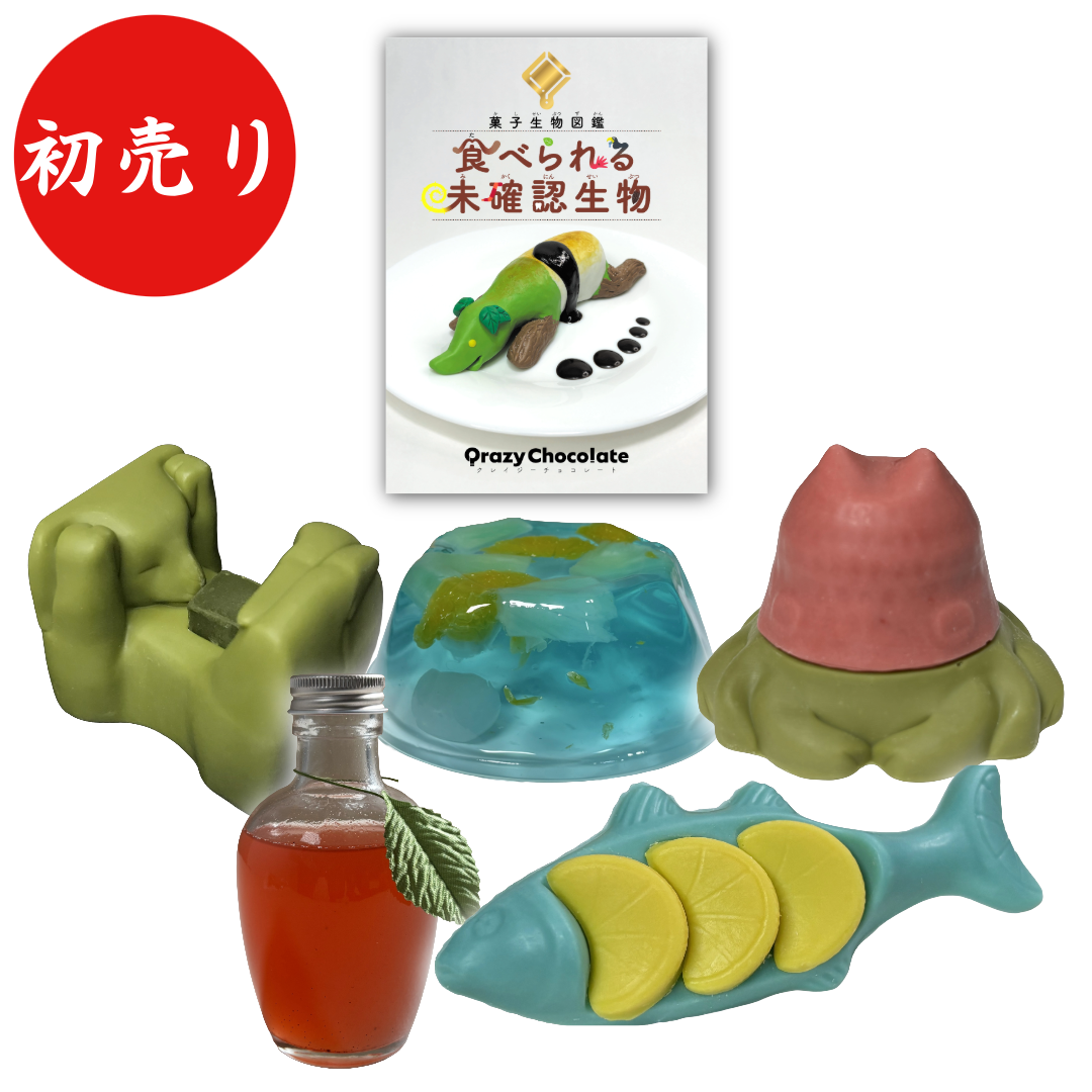 初売り限定セット[本＋菓子生物]