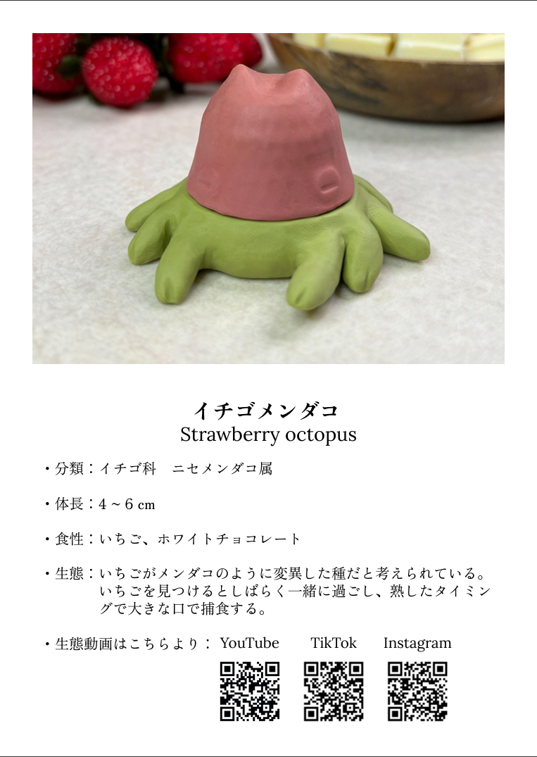 イチゴメンダコ