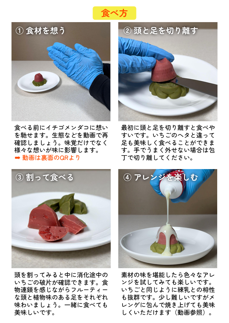 イチゴメンダコ