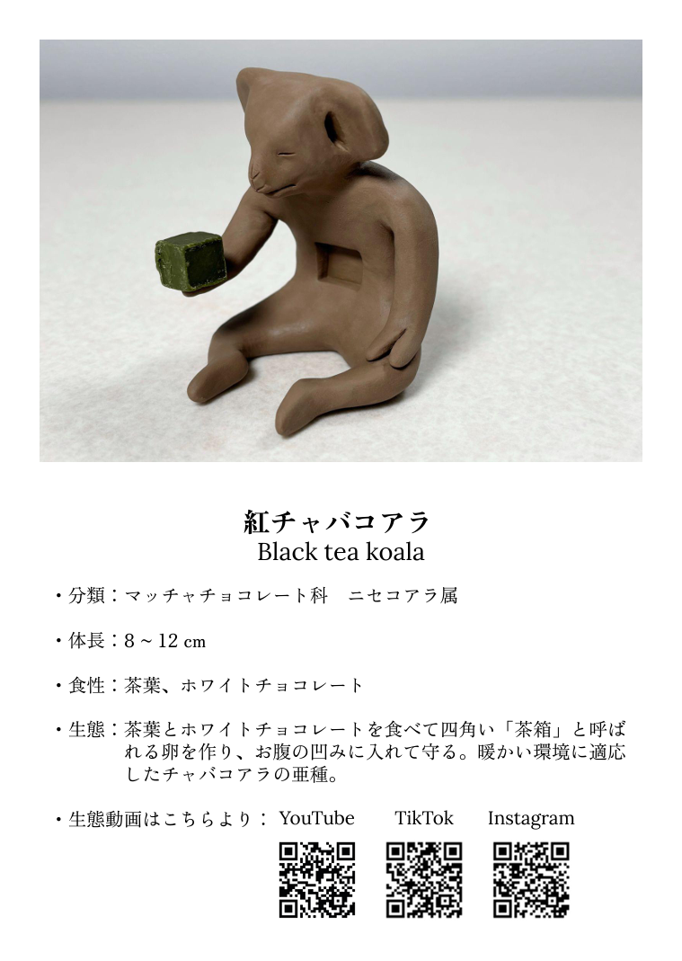 菓子生物4種セット[5月31日まで]