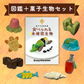菓子生物研究セット【図鑑＋菓子生物】