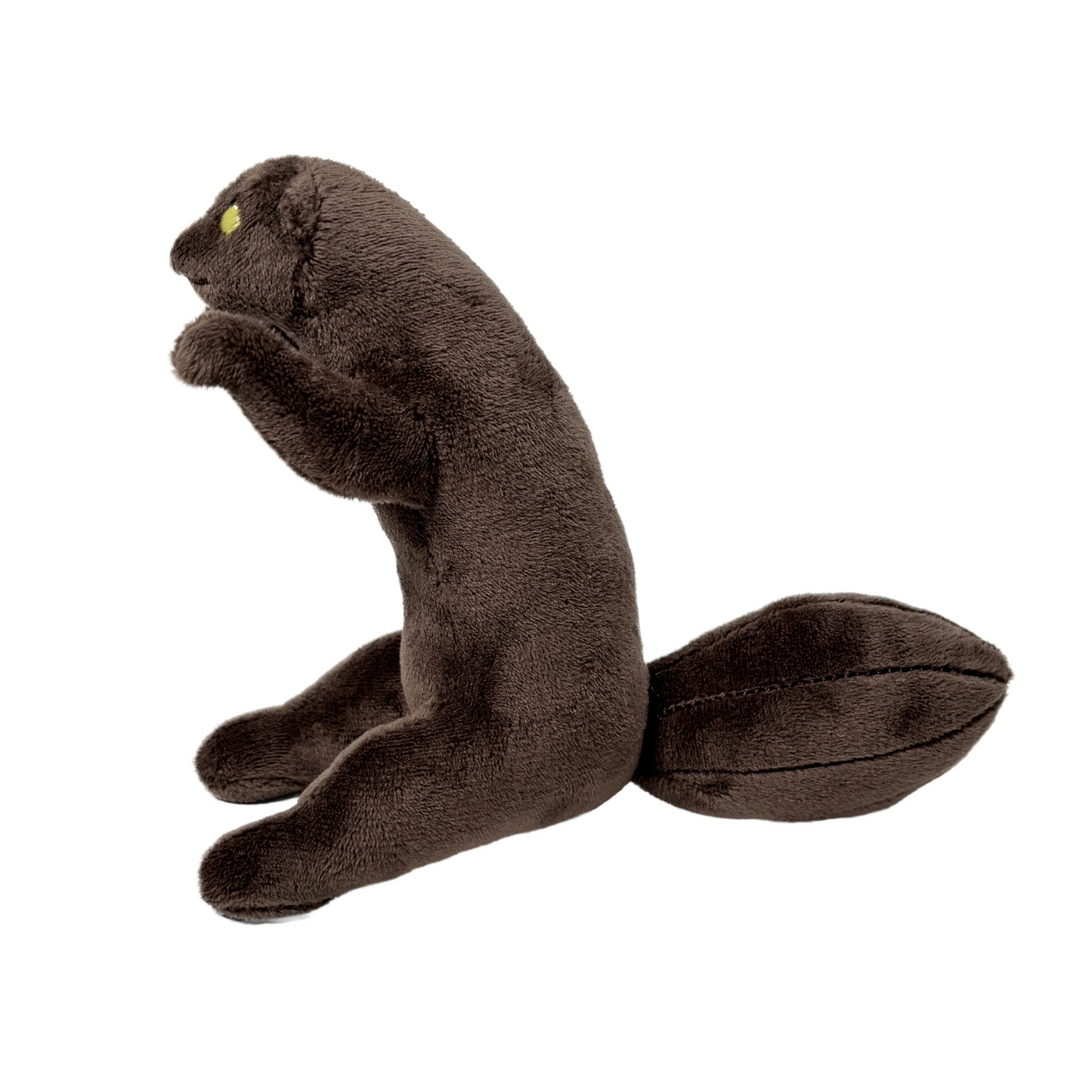 ぬいぐるみ標本