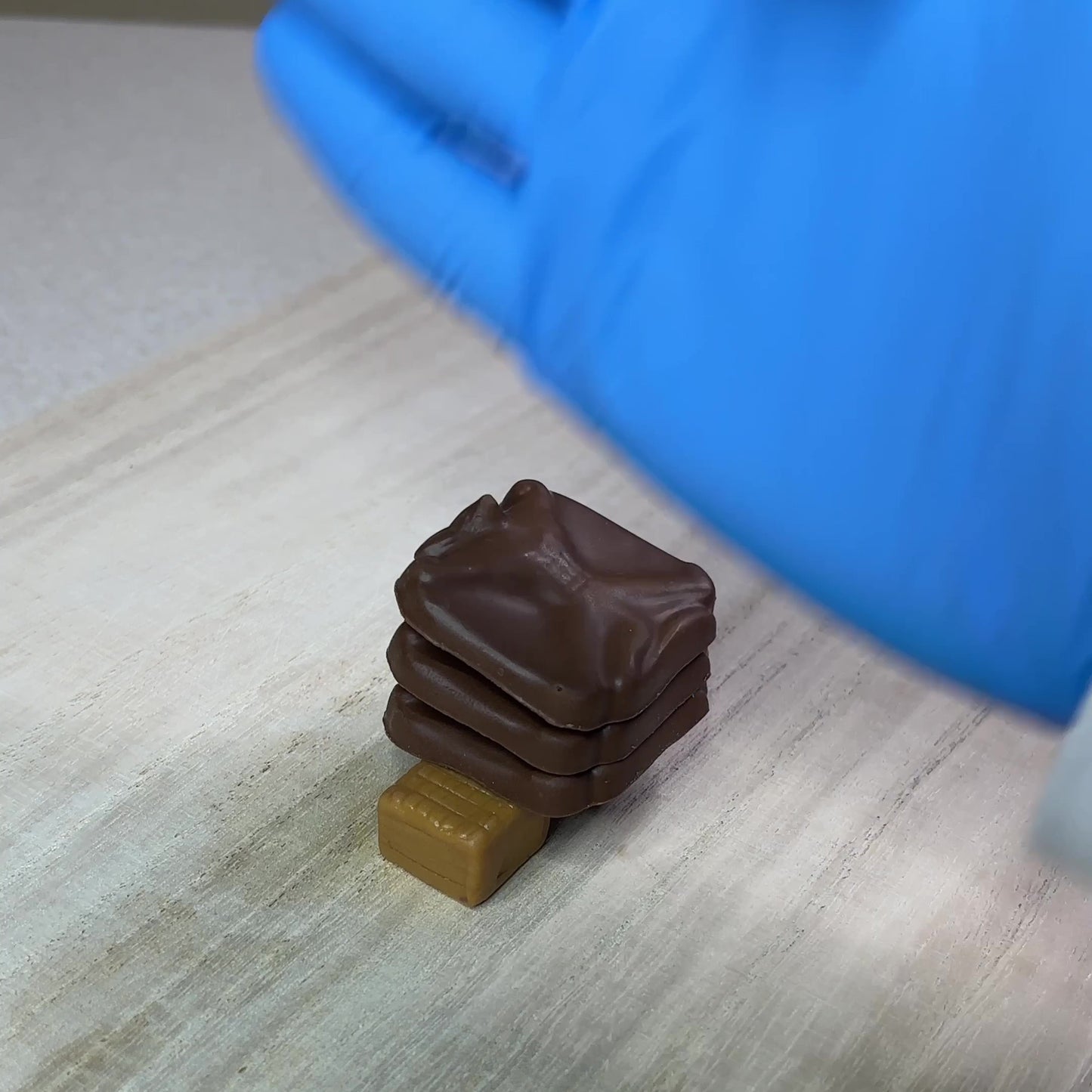 キャラメルモモンガの兄弟