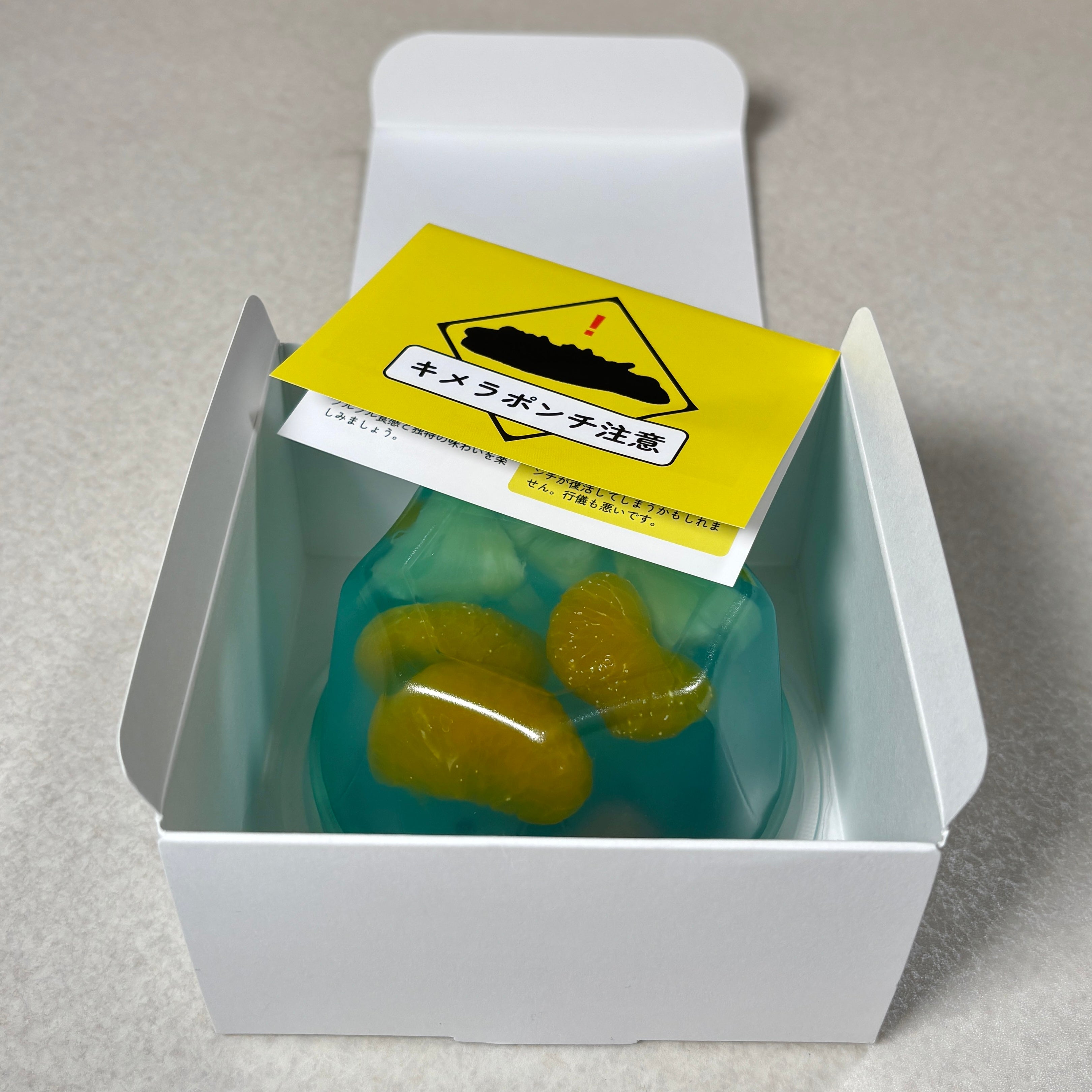 菓子生物研究セット【図鑑＋菓子生物】 – Qrazy Chocolate