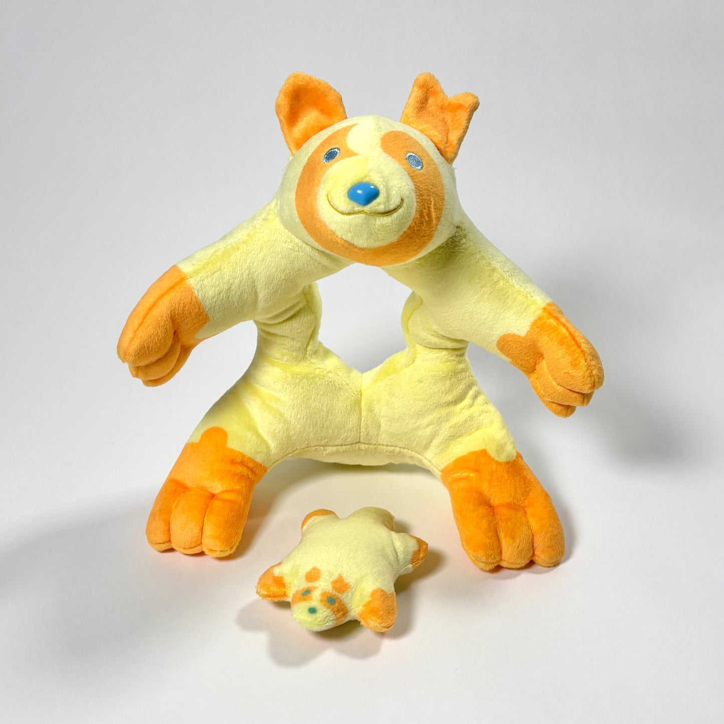 ぬいぐるみ標本