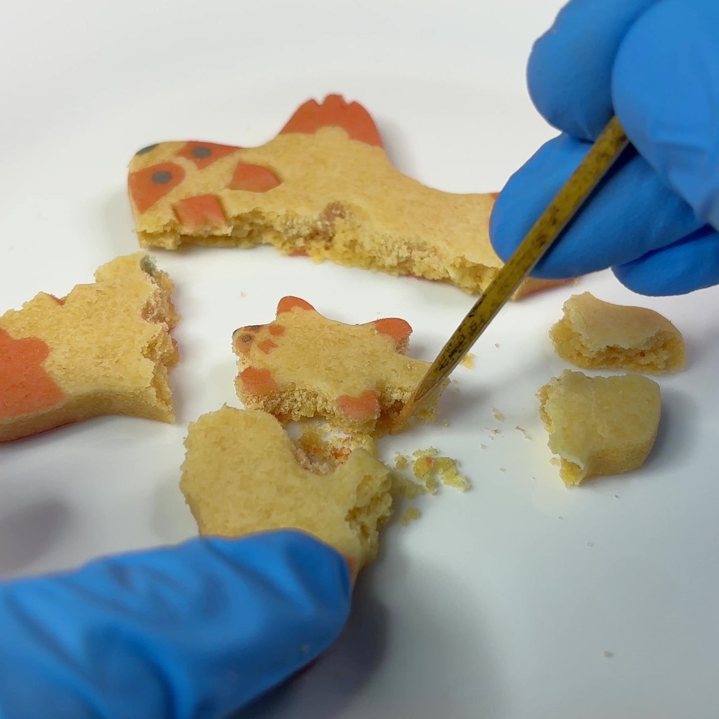 バターカタヌキの親子クッキー