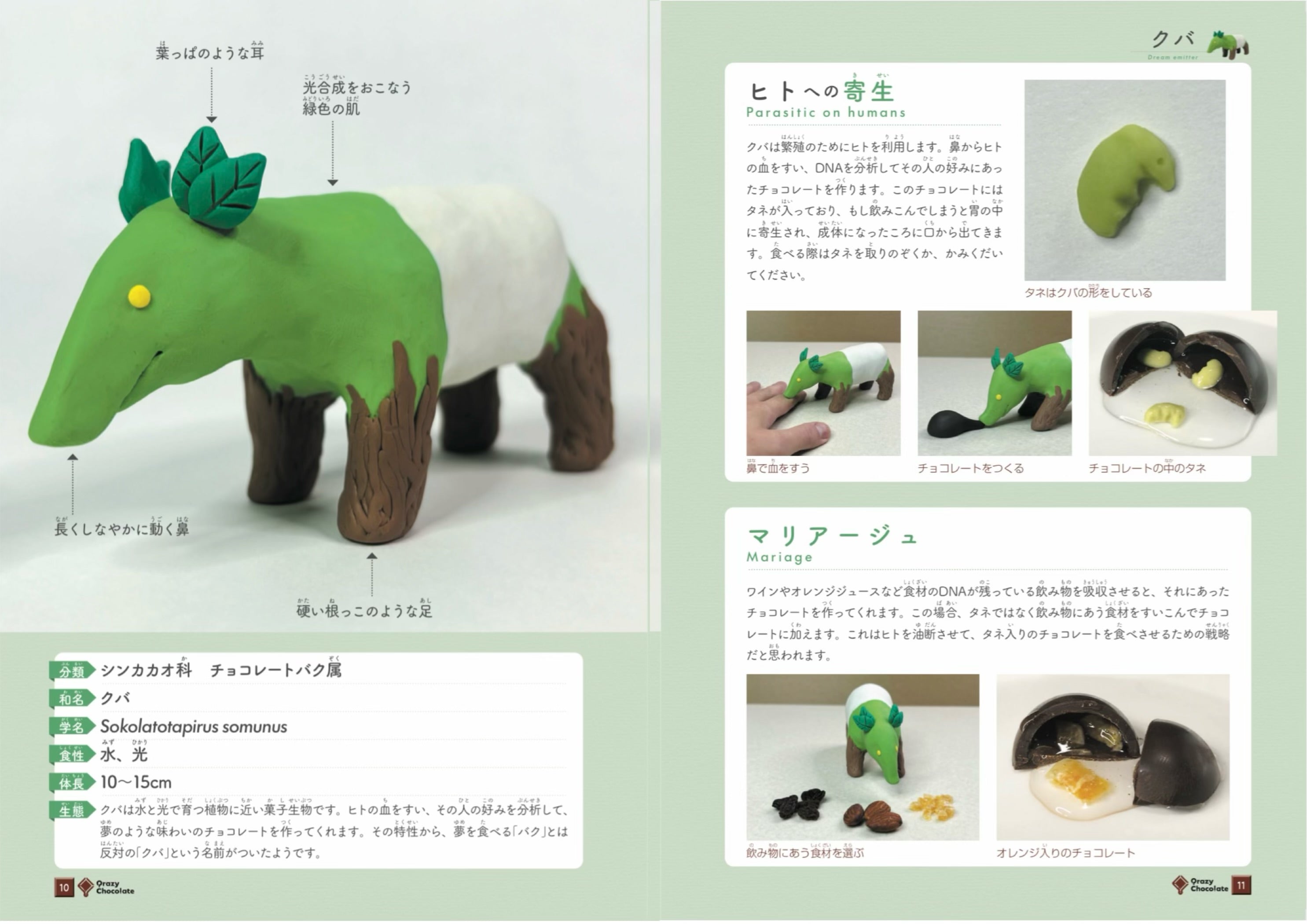 商品説明②こちらもご確認ください。 菓子生物図鑑 食べられる未確認生物 – Qrazy Chocolate
