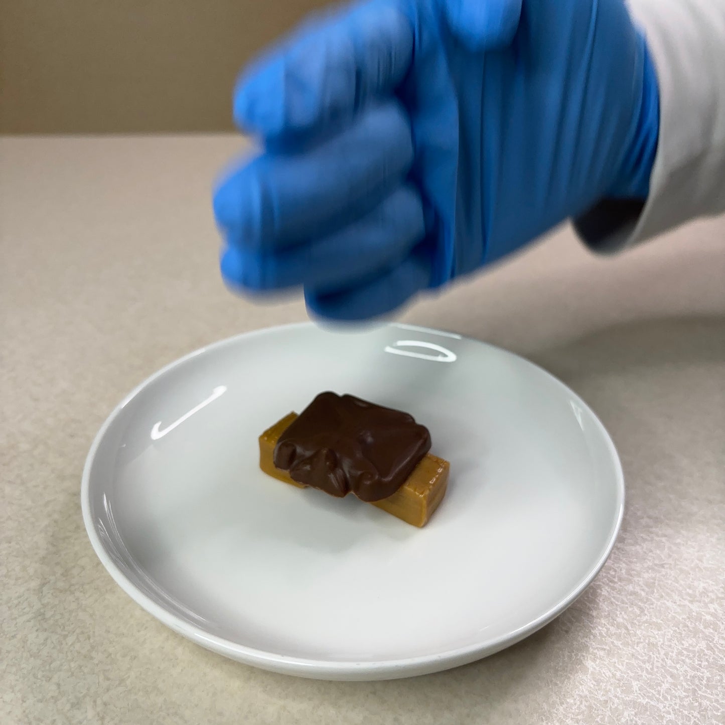 キャラメルモモンガの兄弟