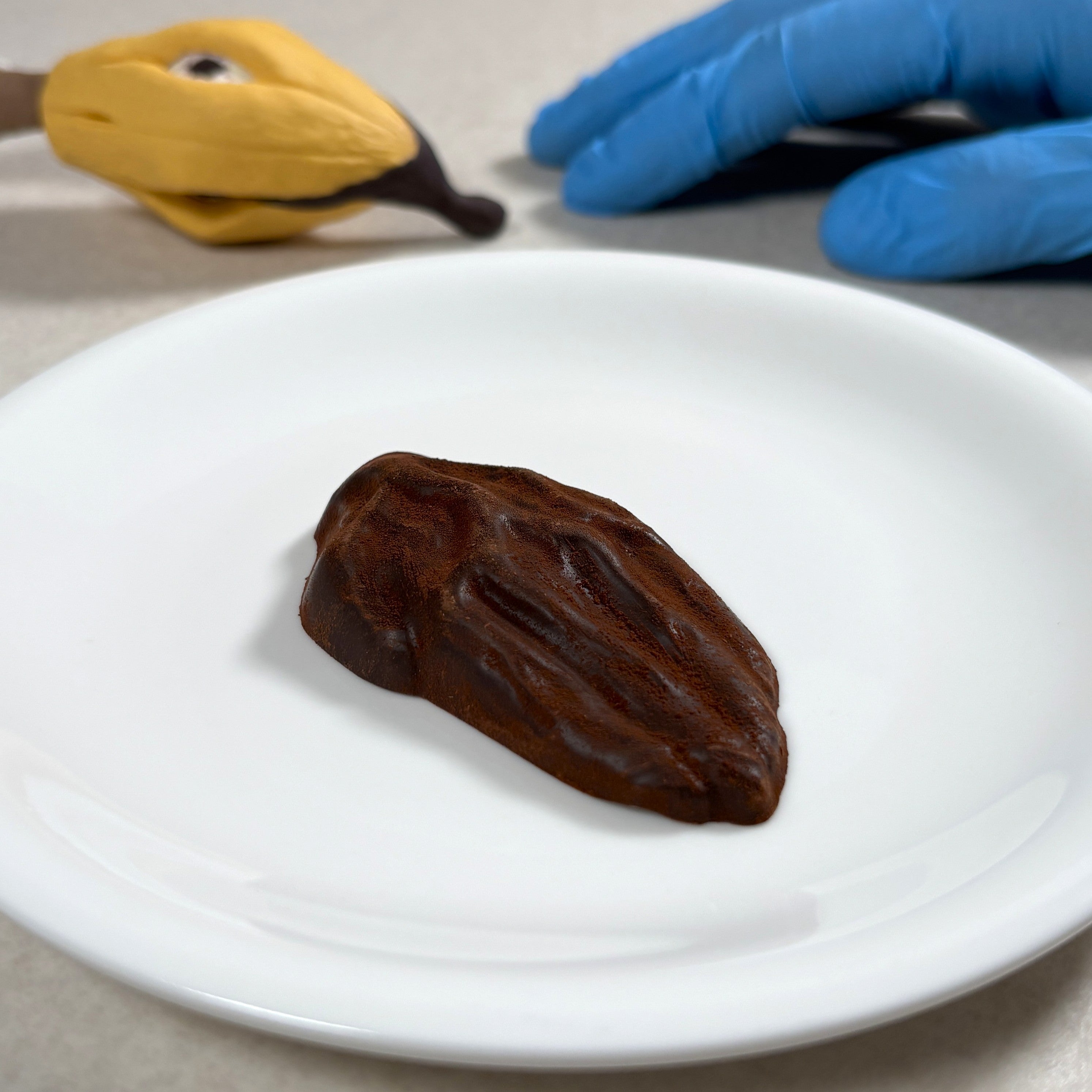 ヒトの手 ～ココア鳥の翼～ – Qrazy Chocolate