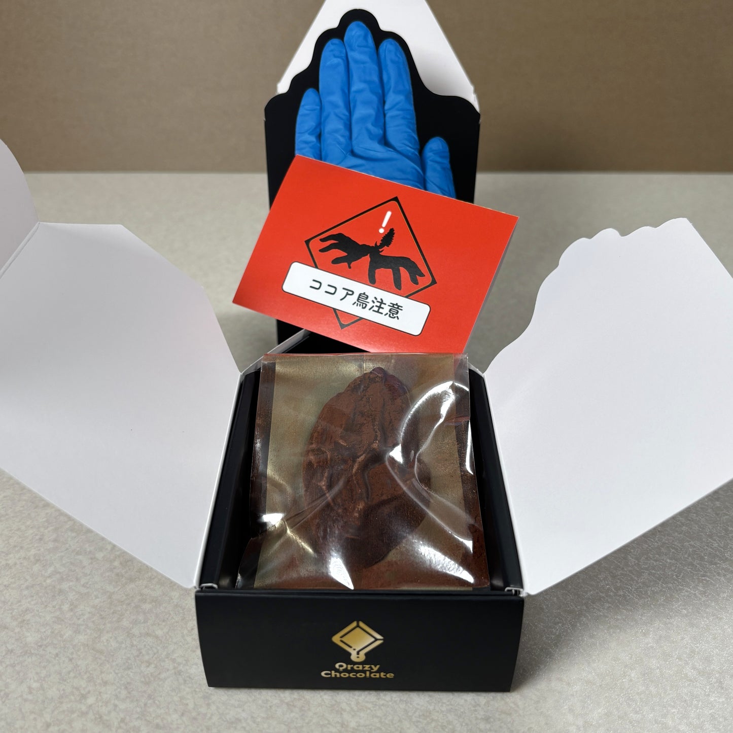 ヒトの手 ～ココア鳥の翼～